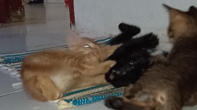 bullying his own friends