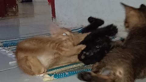 bullying his own friends
