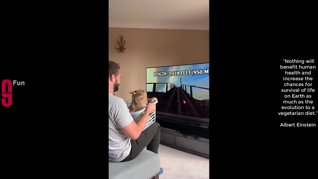 Funny