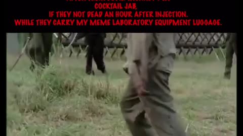 Taking them for a walk