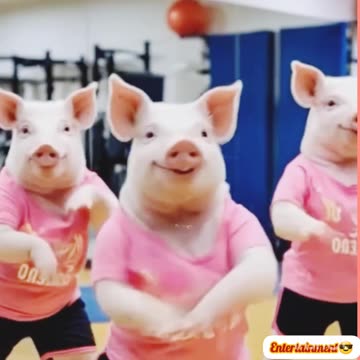 Funny😝 viral video🎥😝