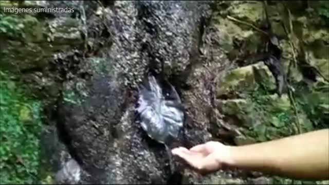 La cuadrilla de jóvenes que vela por la limpieza de los Cerros Orientales de Bucaramanga