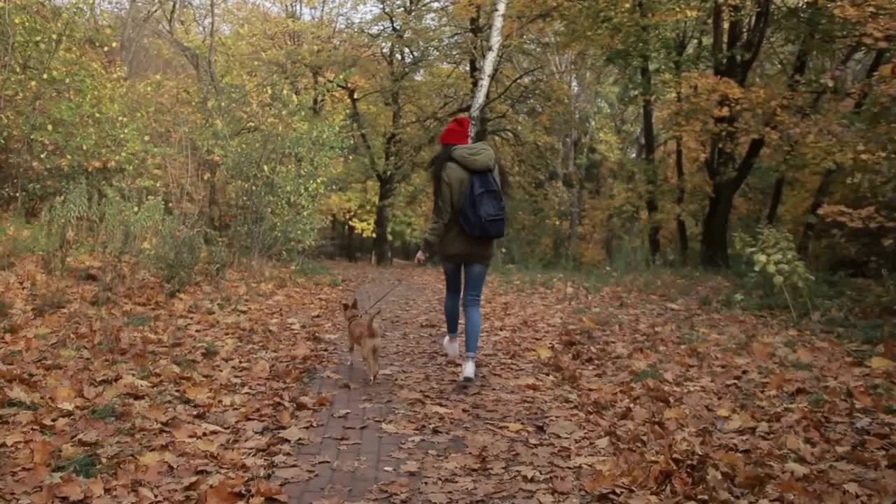 Joyful girl with dog running in autumn park