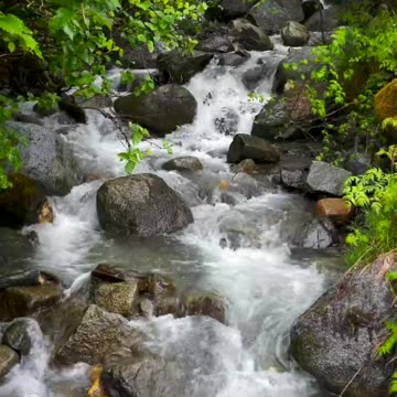 Peaceful Stream in Alaska | Enjoy a Breath of Relaxation!