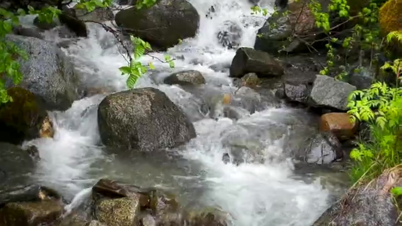 Peaceful Stream in Alaska | Enjoy a Breath of Relaxation!