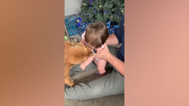 Cute Babies Playing With Dogs Compilation