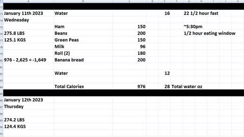 Daily Calorie Count: January 11th