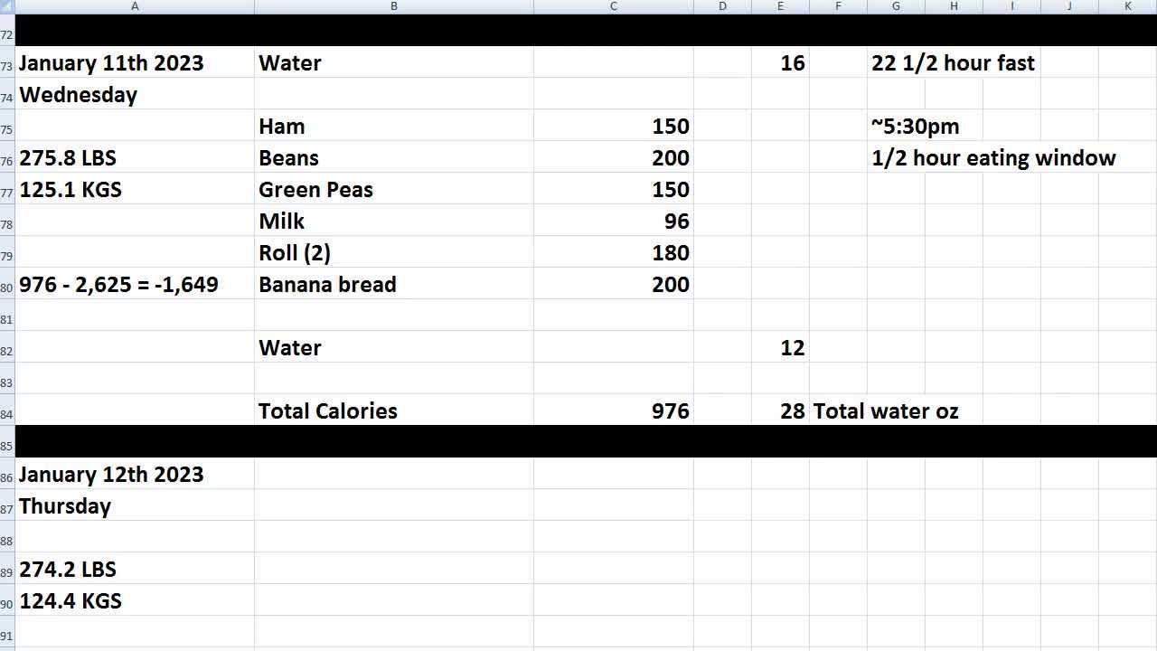 Daily Calorie Count: January 11th