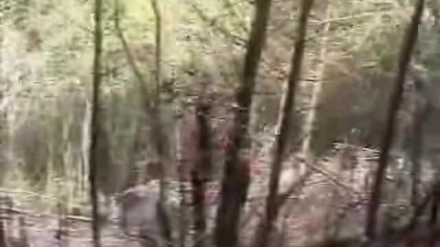Apache Recovery South Korea 2002