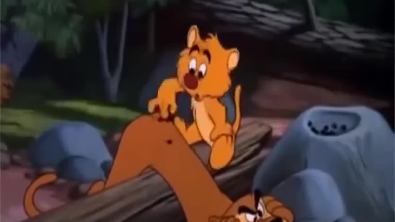 Tiger and duck cartoon funny video