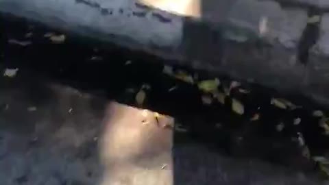 California ballot boxes still bringvemptied after California has been called.