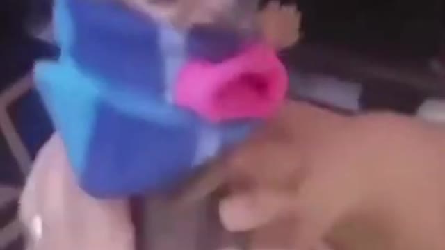Nervous Chihuahua, 🐶fitness dog and monkey 🐱at the gym #shorts