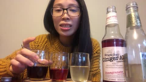 美國生活｜開箱國外知名的無酒精飲料：薑汁啤酒、根汁啤酒。人到國外一定要嚐試的無酒精飲品Ginger Beer/ Ginger Ale、Root Beer好喝嗎？