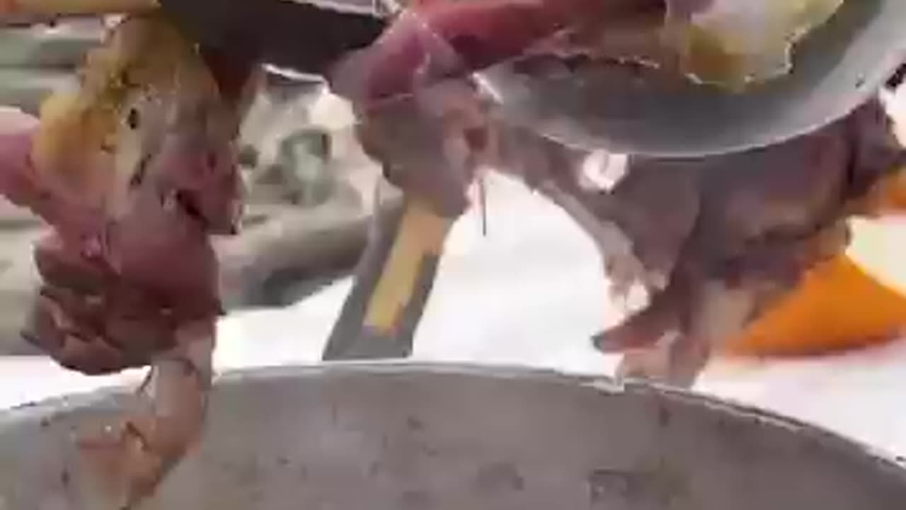 Cooking