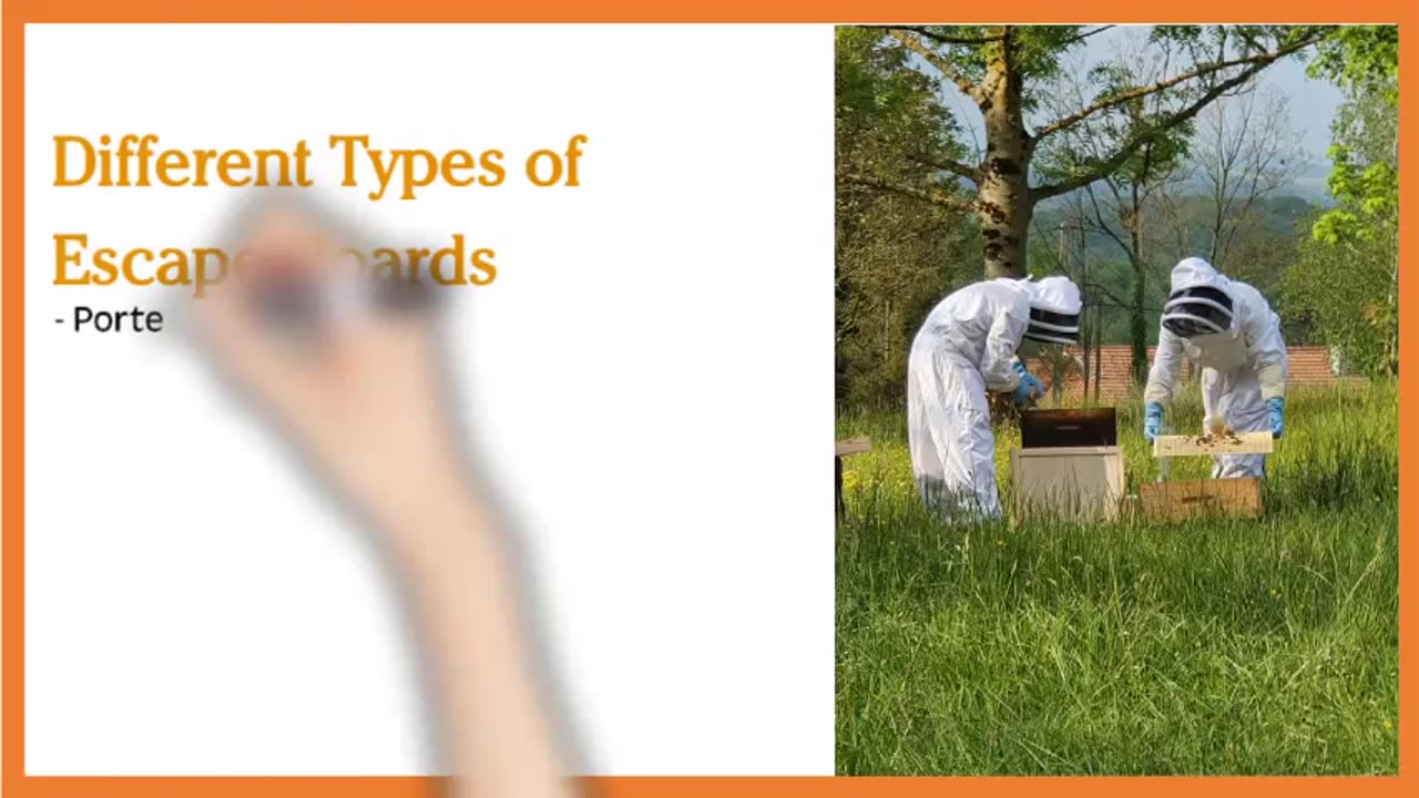 What is an Escape Board in Beekeeping