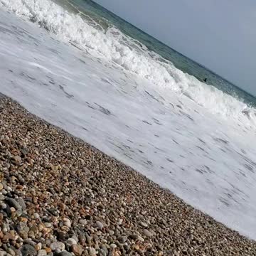 Standing tall through it all