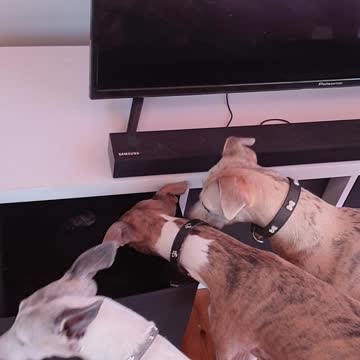 In here. We know your hiding