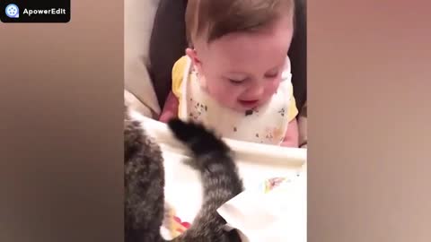 Funny baby and pets