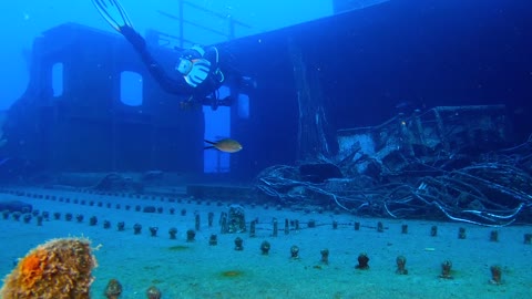 Scuba Diving On A Sunken Boat