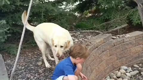 Drake and RILEY, a Boy and a Dog