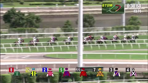 Horse_Race_2022052904_Chinese