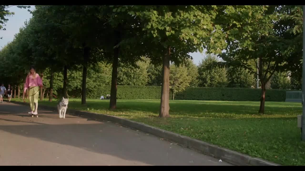Dog Training, Funniest & Cutest Dog
