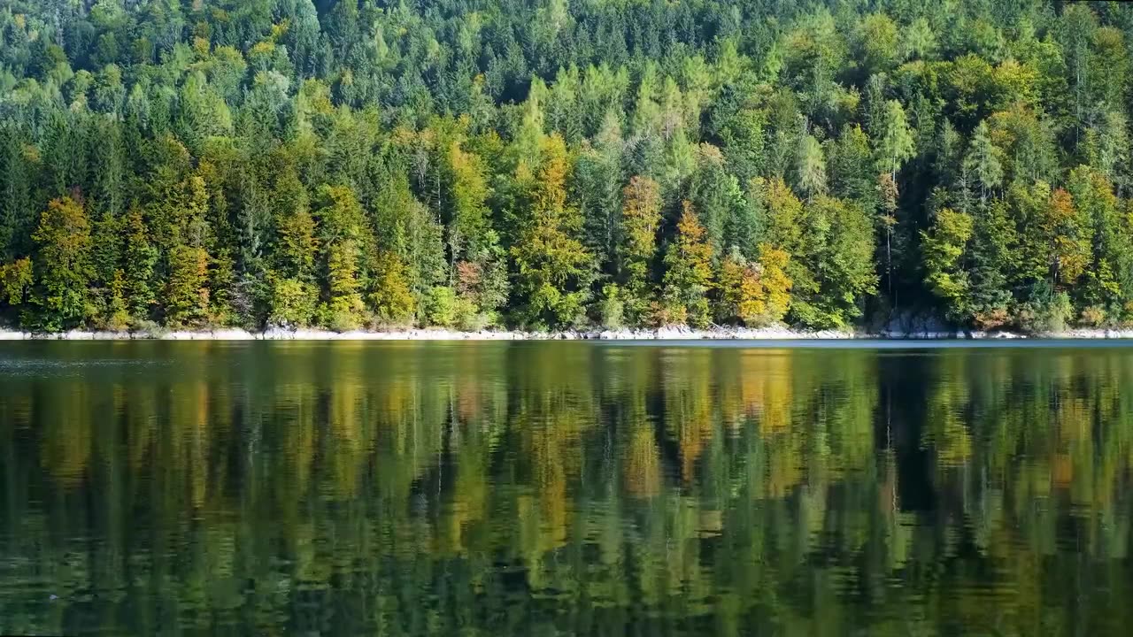 RELAXING ZEN MUSIC - Bamboo, Peaceful, Nature Sounds - Meditation & Yoga - Deep Sleep