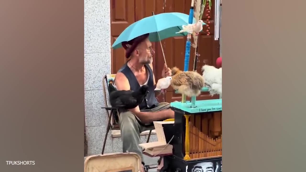 It's Hard Not to Laugh🤣 Best Funny Animals Video 2024 🤣