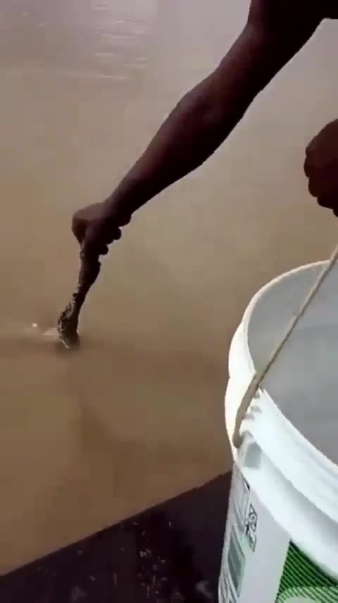 Insane Piranha Fishing