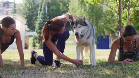 Essentials in Dog Training