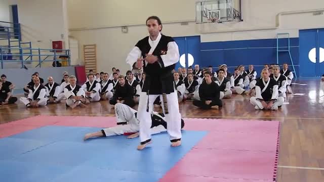Hapkido