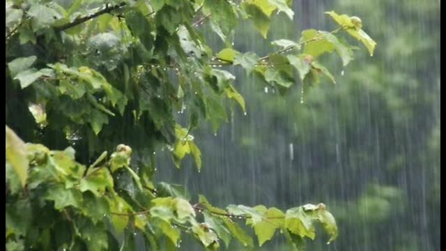 Relaxing Rain background noise