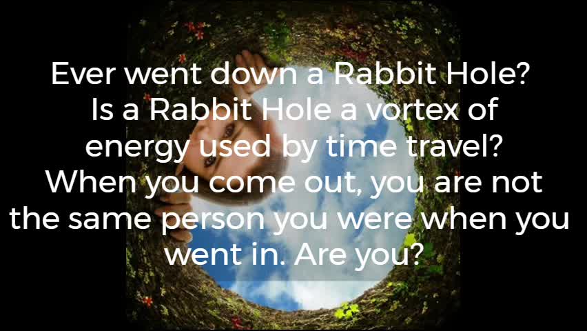 Follow The White Rabbit, Why does the rabbit wear a time piece?