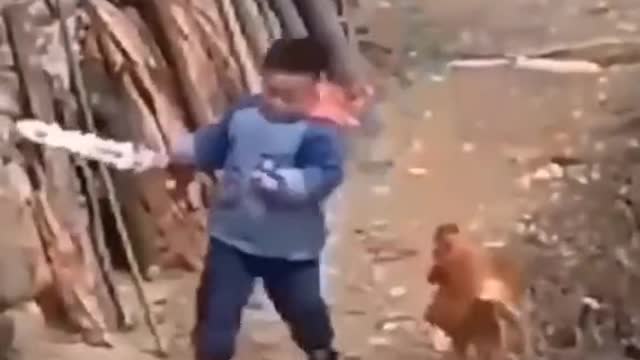 Nicely animals