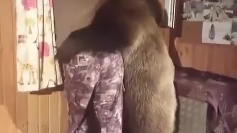 BEAR HUGE