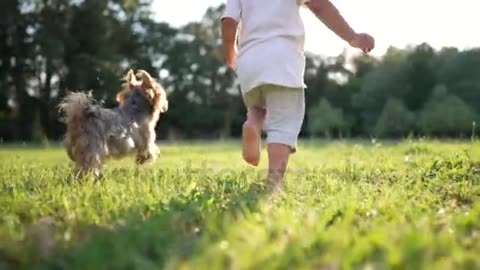 Happy And dog