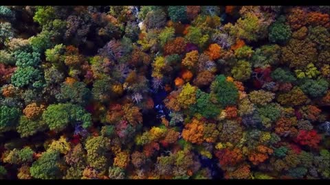 20 Minutes Relaxing Piano Instrumental Worship