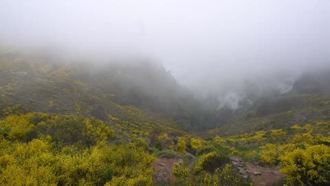 Pico do Arieiro