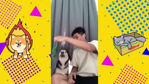 🐶🤣 _ Dog Lovers _ Funny Pet Videos _ SHORT & FUNNY Videos