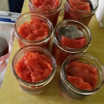 Red Sockeye Salmon vacuum packaged and ready to go into the freezer.
