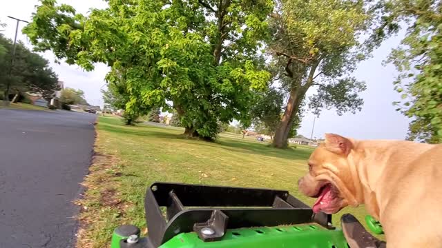 Mowing with Legend