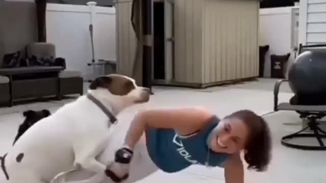 Dog tries to fuck a beautiful girl