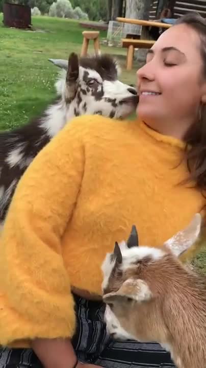 I need more of this in my life