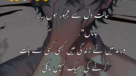 Poetry video| status video| status shayari|