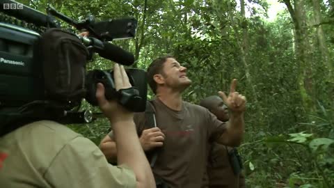 Chimpanzees Hurl Dung at Steve Backshall! | Deadly 60 | Series 2 | BBC Earth