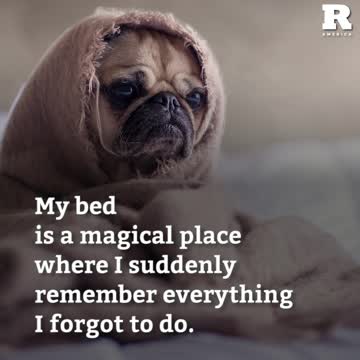 My bed is a magical place where I suddenly remember every I forgot to do.