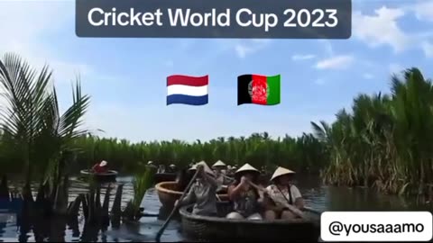 World Cup live
