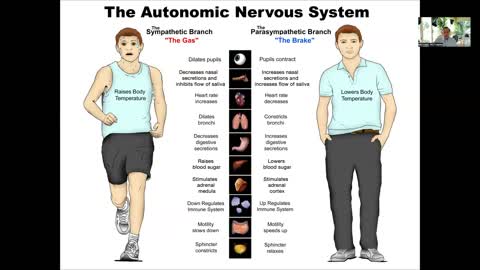 Holistic Approach to PTSD