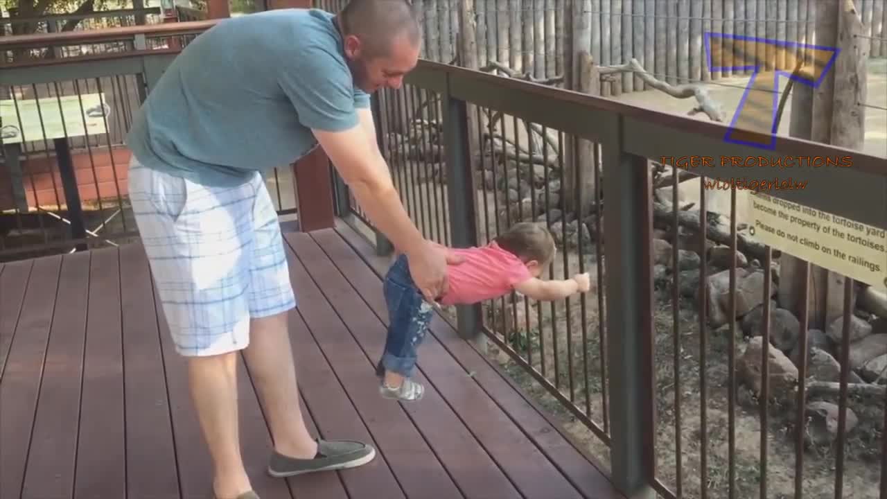 Forget Cats! Funny Kids Vs Zoo Animals Are Way Funnier! - Try Not To Laugh