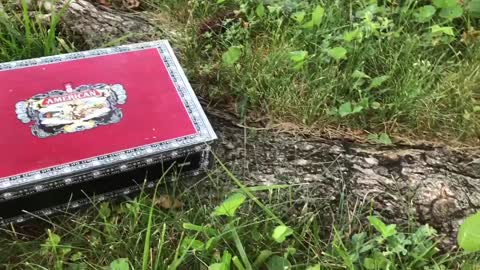 Peach Tea Emerald Cigar Box Guitar